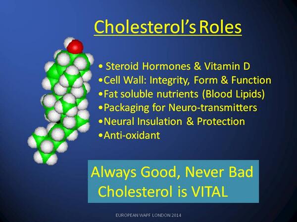 Cholesterol_OK's tweet photo. Cholesterol is vital -  so what is it that statins do besides causing adverse effects? http://t.co/xnPFmeJ4Zq http://t.co/KNaBMpZl2K