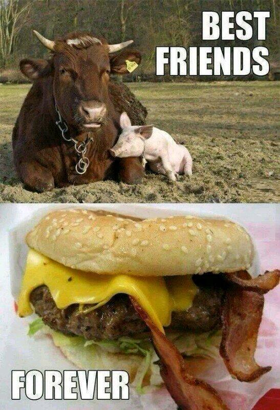 StumblerVideos's tweet photo. Best friend forever http://t.co/dR1ckhCena