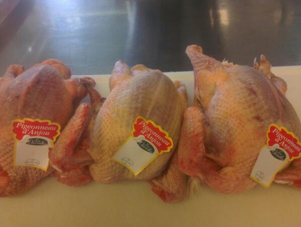 Nieuwekaart met anjou duif als Hoofdgerecht in ons menu