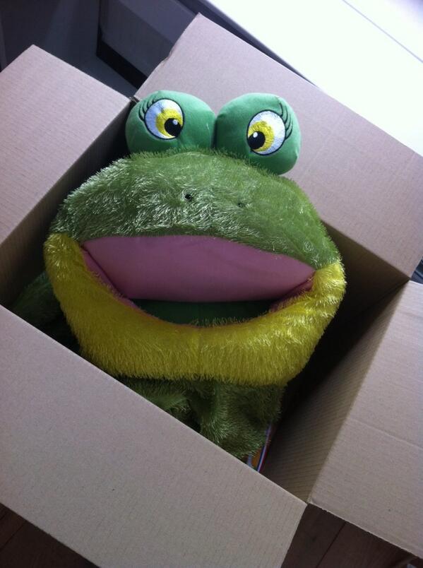 Bettelies Westerbeek tweet media