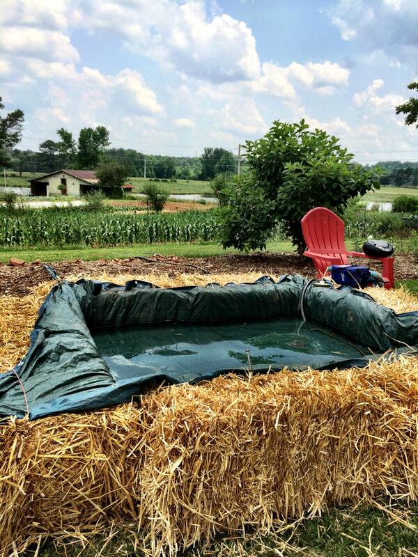 katyascarlet's tweet photo. My Memorial Day redneck party pool I built over the weekend on our farm. http://t.co/mldVdZI9Rr