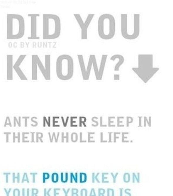 Zal2Amber's tweet photo. Check out these surprising facts! http://t.co/8iRiINnvFp http://t.co/HrZYuiaOas