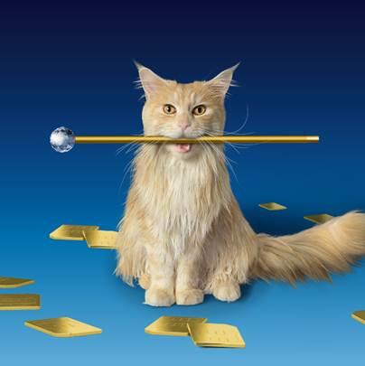 O2's tweet photo. It's almost time to live big. Are you ready? http://t.co/dQj69ynjgq