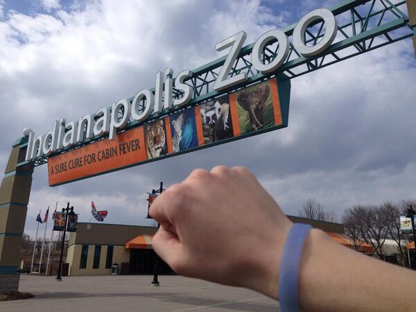 IndianapolisZoo's tweet image. Learn about sun protection tips &amp;amp; recieve a color-changing wristband from @OutrunSun tomorrow from 10am-2pm!