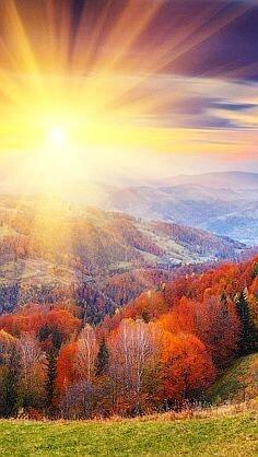 OUTrovert's tweet image. Good morning Outroverts. Hope your weekend was as great as ours.  visit: outrovert.co