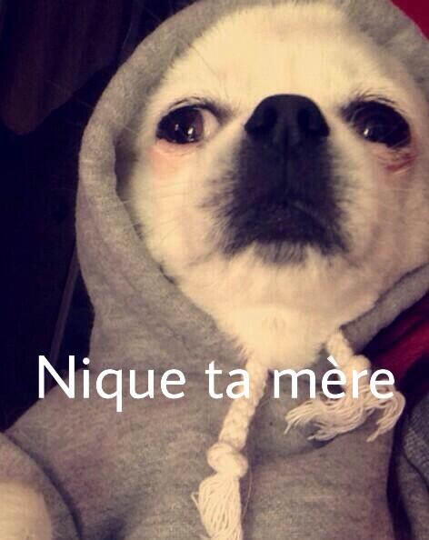 PostBadPhrases's tweet photo. Quand ton pote sors une vieille vanne http://t.co/MkJuJMFDe1