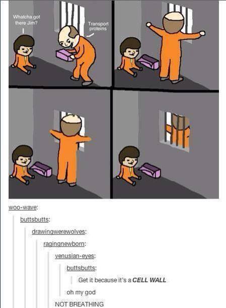 miilkkk's tweet photo. science kids will love this http://t.co/Jvz2bguS1o