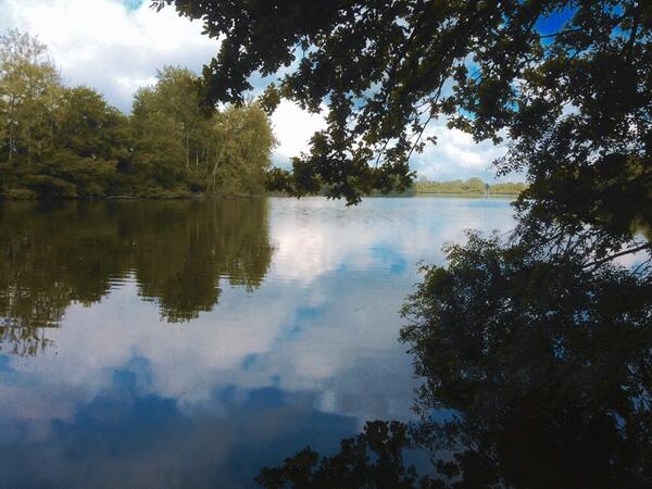 Permalien de l'image intégrée