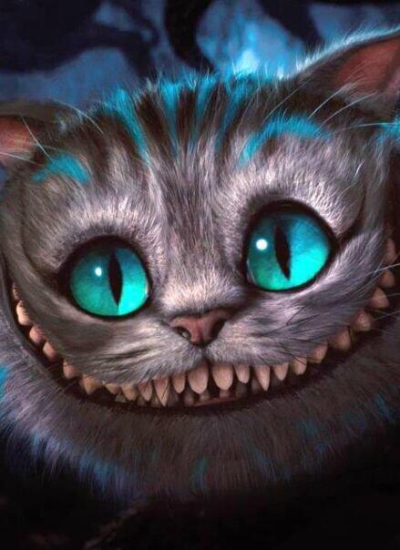 __BestMistake__'s tweet image. Today is #happyproblemday for me again:)
"Again" means *everyday*
One less, one less problem...@ArianaGrande