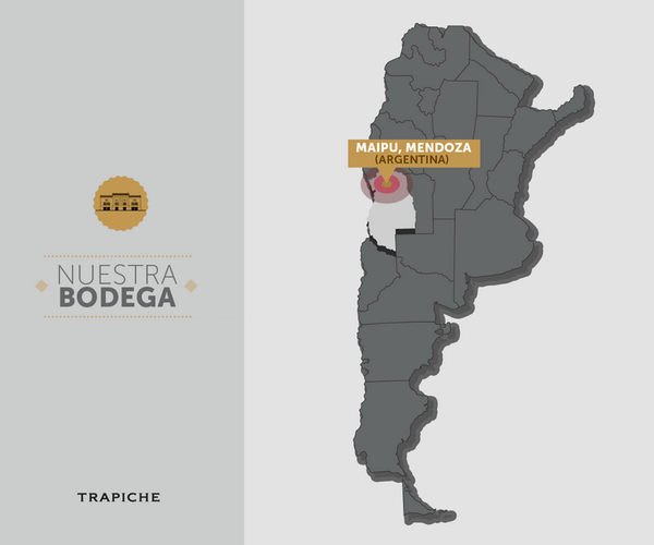 ¿Sabías que la región de #Cuyo es la zona vitivinícola más grande del país y la principal productora de #Sudamérica?