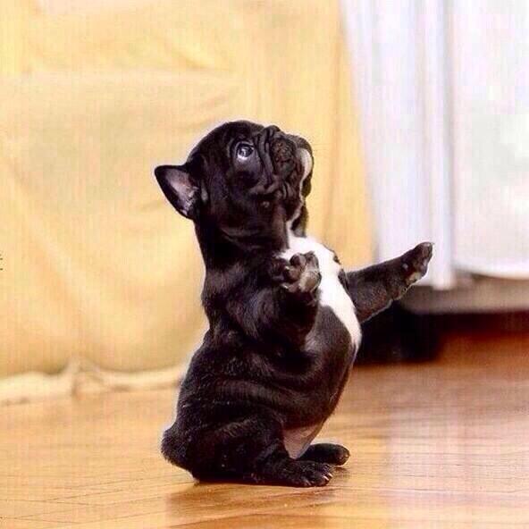 victorfrau's tweet photo. las mujeres cuando terminan d pintars las uñas: http://t.co/lYHgLy9smK