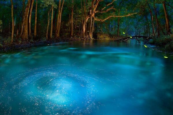 earthposts's tweet photo. Ichetucknee Springs, Florida http://t.co/rmRUyBq1uB