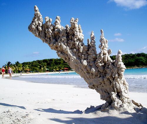 Image_Fasci's tweet photo. Quand un éclair touche le sable. http://t.co/AgIuITE1yT