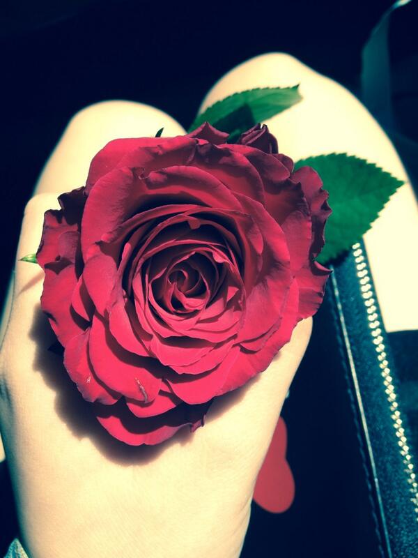 soder_sara's tweet image. That should be me!