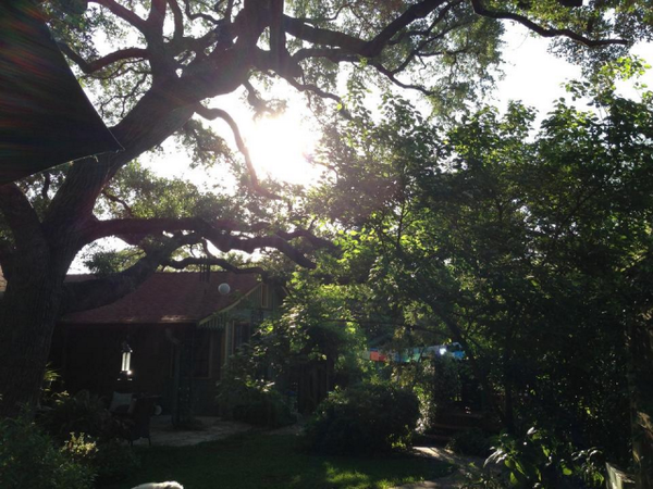 Sometimes, we'd swear we live in a magical kingdom!