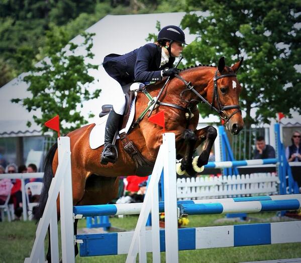Bella_IK's tweet image. A massive thank you to Polly at @SARACENFEEDS for her unbelievable amount of help+guidance on Pops diet  #happypony