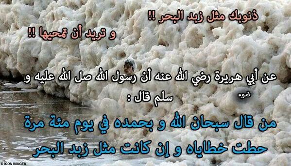 Anya Musk ⚖️ tweet media