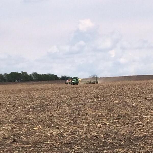 cgigstad's tweet photo. @mnwdekalbasgrow FTN Plot #asgrowyields http://t.co/phJbng93lJ