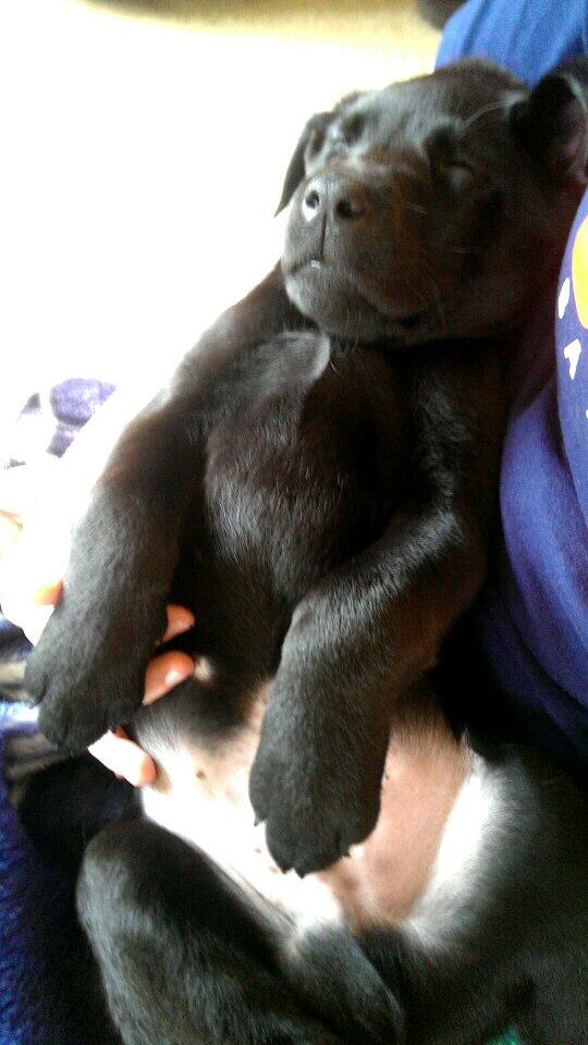 sbails2's tweet image. Somebody played to hard with Aunty Kristin! @515_kbrown