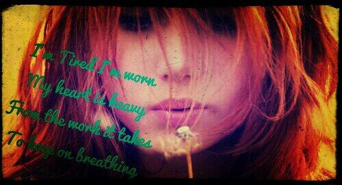 Ambrosia {Hiatus} (@mortalambrosia) on Twitter photo 
