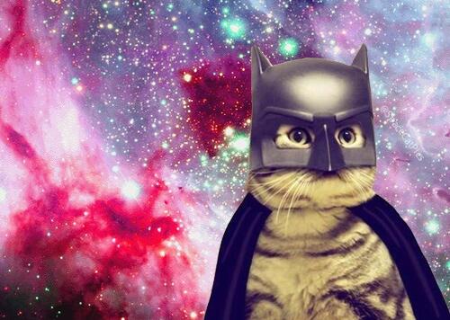 BigRoHoe's tweet photo. rn http://t.co/gqlXiyLNJL