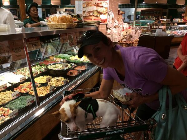 Nick_ServiceDog tweet picture