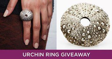 See our #jewelry #giveaway with <a href="/EmilyAmeyJwlry/">Emily Amey Jewelry</a> on @hatchhubjewelry's #facebook, enter to win: bit.ly/1olOpcw