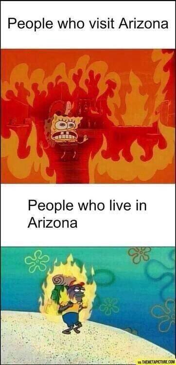 AZ_Problems's tweet image. #AzProblems