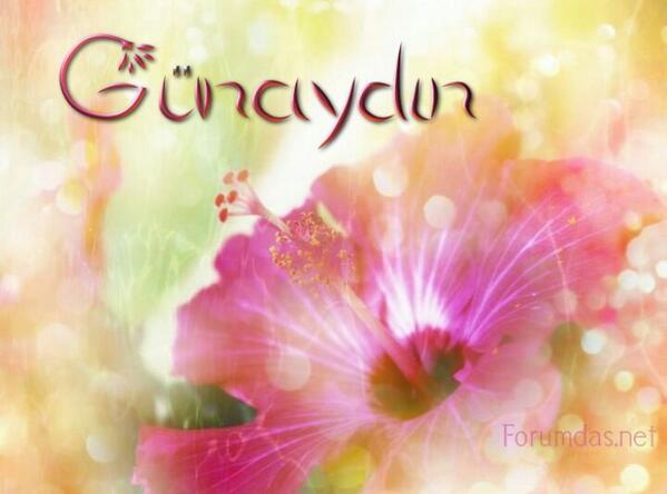 MEHMET ÇAKUBAY (@cakubay) on Twitter photo 