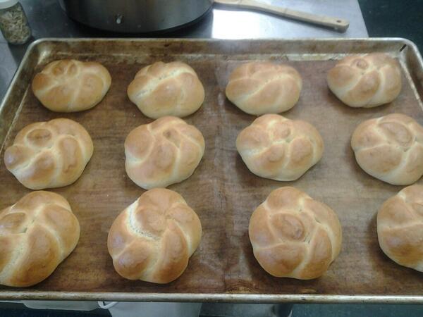 What would taste the best on these? Maybe some <a href="/springbrook/">Springbrook</a> farms fresh beef patties?