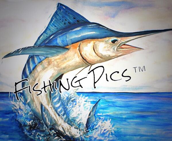fishing_pics's tweet photo. New Logo Maybe Guys?? Comment below👇 #_fishing_pics_ #newlogo #comments #commentbelow #logo http://t.co/r0WWKlxk0B