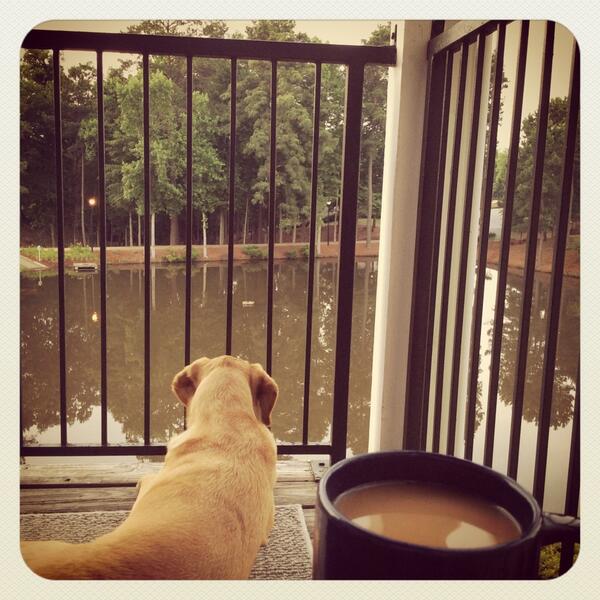TomMaldo's tweet photo. Nice morning on the deck wouldn't ya say @JordyD28 #coffeeandpaper http://t.co/pmHpeaZpmD
