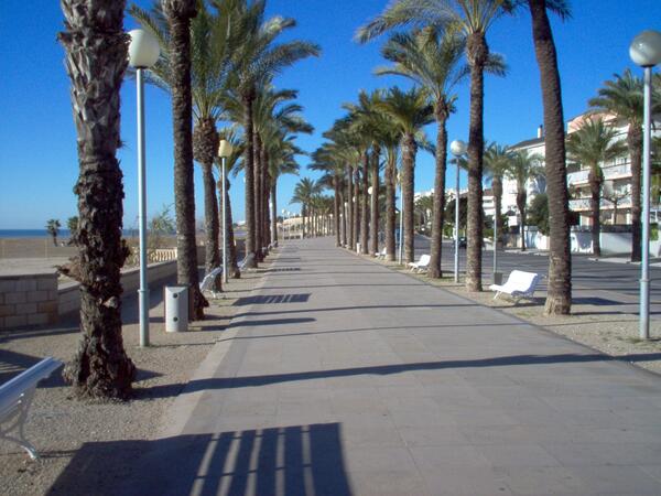 sun11991 tweet picture