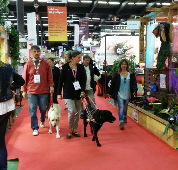 EcoleAlienor's tweet photo. Tous à la foire de Bordeaux.
Hall1#alléeB#porte6 http://t.co/IQ21Ixdi3W
