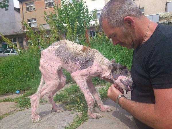 Xoxe_IA_Cat's tweet photo. Los animales te necesitan. Tú puedes ser la diferencia para ellos :-) http://t.co/fQBR1wyV6a