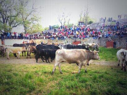 cuadrillaSJ14's tweet photo. AMIG@S !!! Este sabado #Desencajonamiento ... y 28 dias para el Pregon!! #SomosSanJuan NO QUEDA NADA !! http://t.co/cuzhy71ua0
