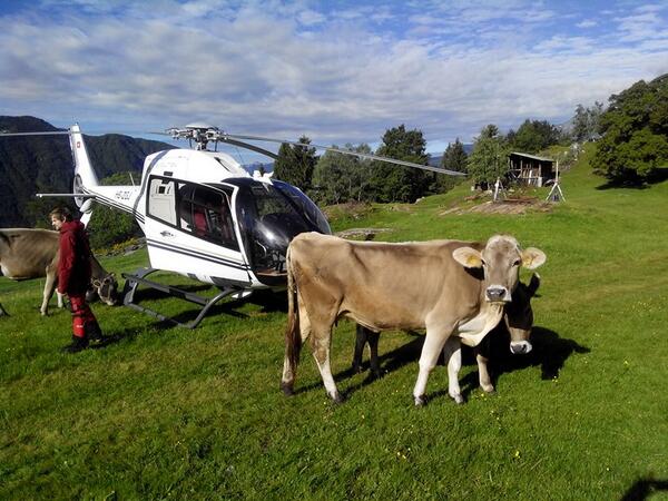 Aux #Grisons pour un vol au dessus de Cama... en bonne compagnie