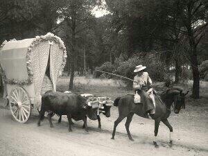 Rociodctj's tweet photo. Una carreta de bueye tiene el perfil mas bonito para el camino de siempre..... @Antonio05tirado http://t.co/ZHGQTQO5gZ