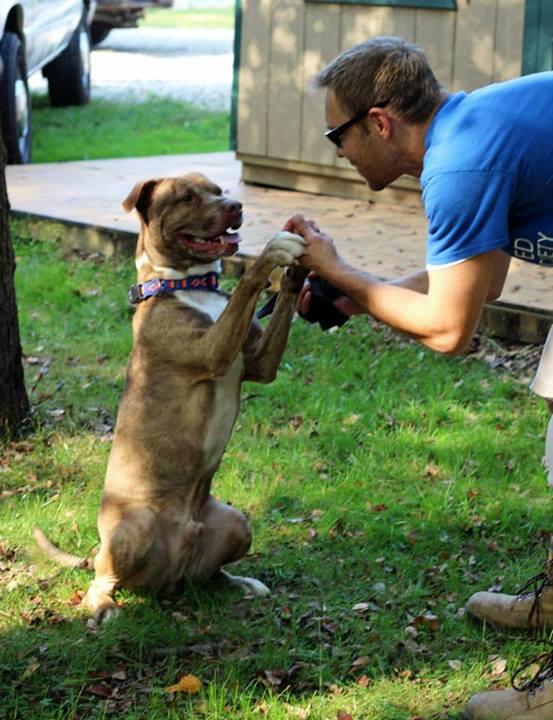 Trey, our longest resdident, so undeserved.  Such a terrific dog!! Come see him today 12-6
