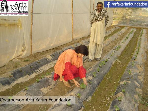 ArfaKarimFdn's tweet photo. Chairperson Arfa Karim Foundation Mrs Samina Amjid monitoring her tunnel farming at Arfa Karim Nagar http://t.co/nFmlJ4yT3u