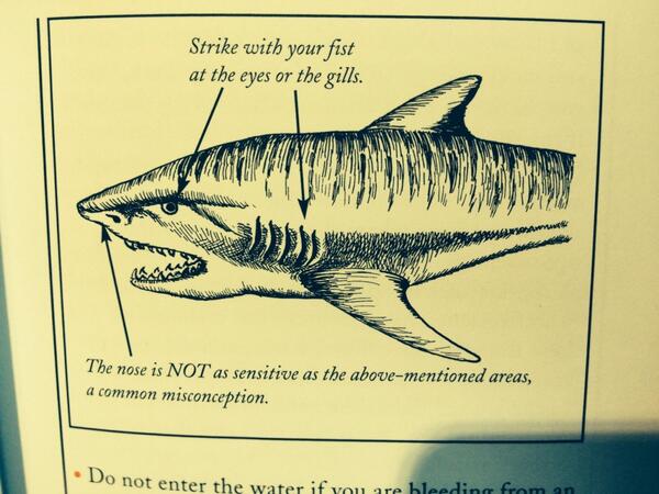 bilsayyildirim's tweet image. #usefulltips #1