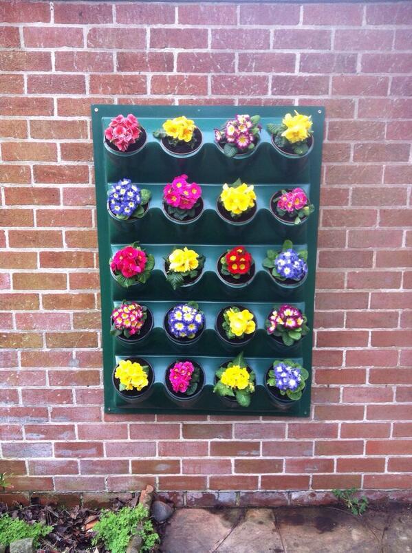 @Leamore_Primary Children can GYO plants, veg or fruit and take it home with Lushwall panels.