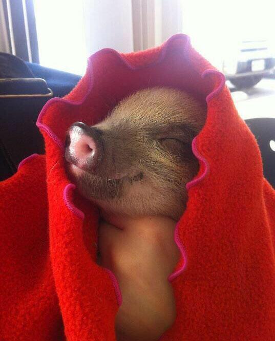 So cute
