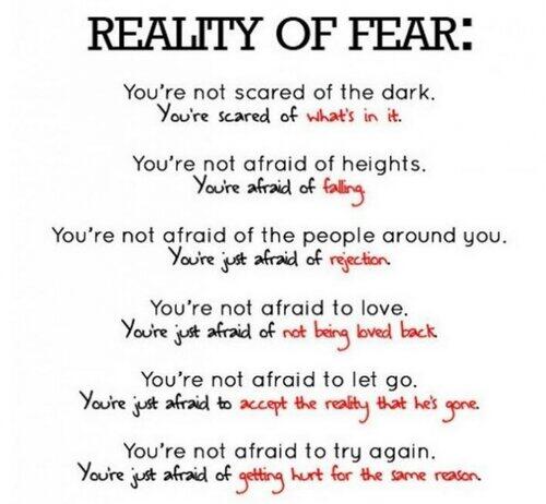 FablousRobot's tweet image. Yupp