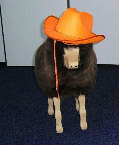 texelerdekbed's tweet photo. Ssssst, hij is hier #waariswaylon #Incognito http://t.co/Zd64mpqsIK