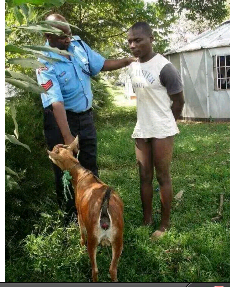 Gabriel_gunner2's tweet image. Dead"@kipkosgeiMc: #BabaWhileYouWereAway Someone instead of paying dowry slept with the dowry http://t.co/MFHwNTIvdL"
