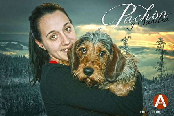 el_refugio's tweet image. #adoptandoquesgerundio Definición de "pachón": persona pausada y tranquila. jajajajajajajajajajaja!!!!