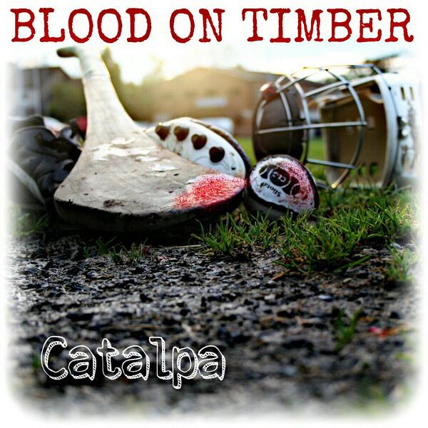 Ciaran Warfield tweet media