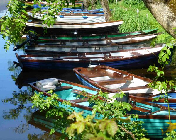 Boats near Ross Castle this lovely day.