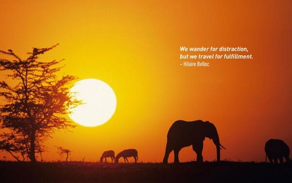 theplanetd tweet picture